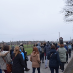 Marche silencieuse vers Auschwitz II - Birkenau