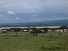 Lac Langano, vallée du Rift, Ethiopie