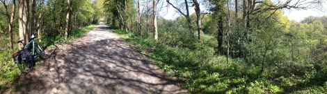 Cuckoo Trail